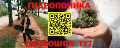 ALPHA PVP Бийск