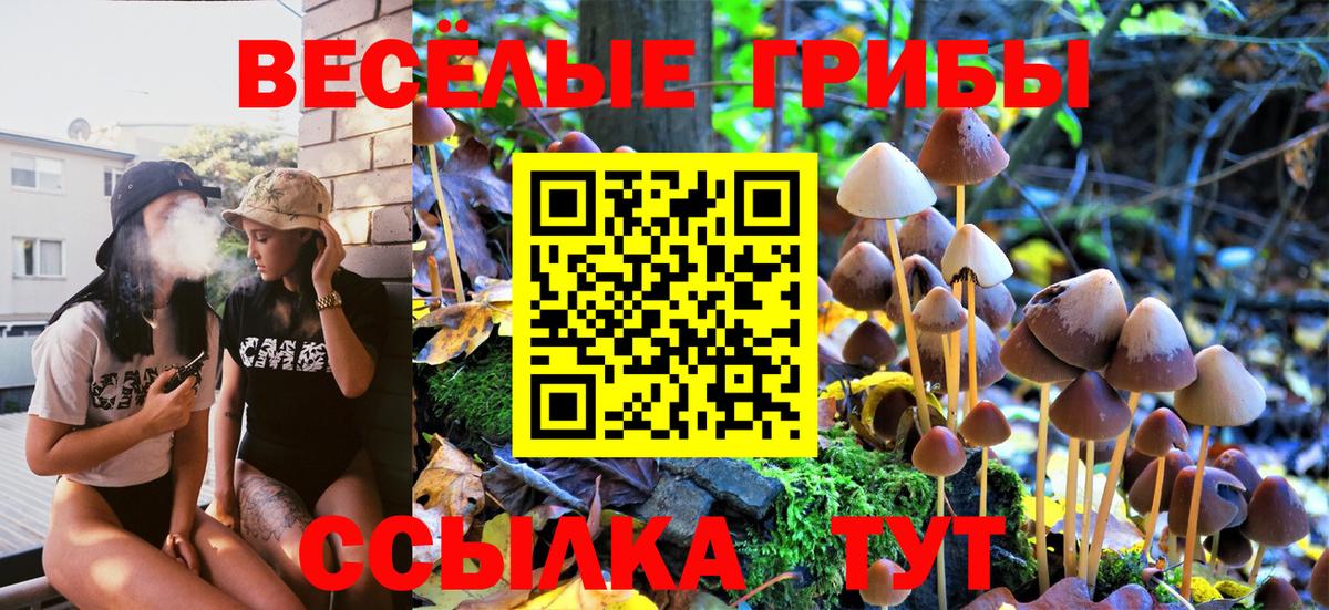 Псилоцибиновые грибы ЛСД Камышин